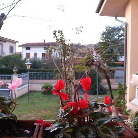 Villa La Perla Corsanico-Bargecchia 外观 照片